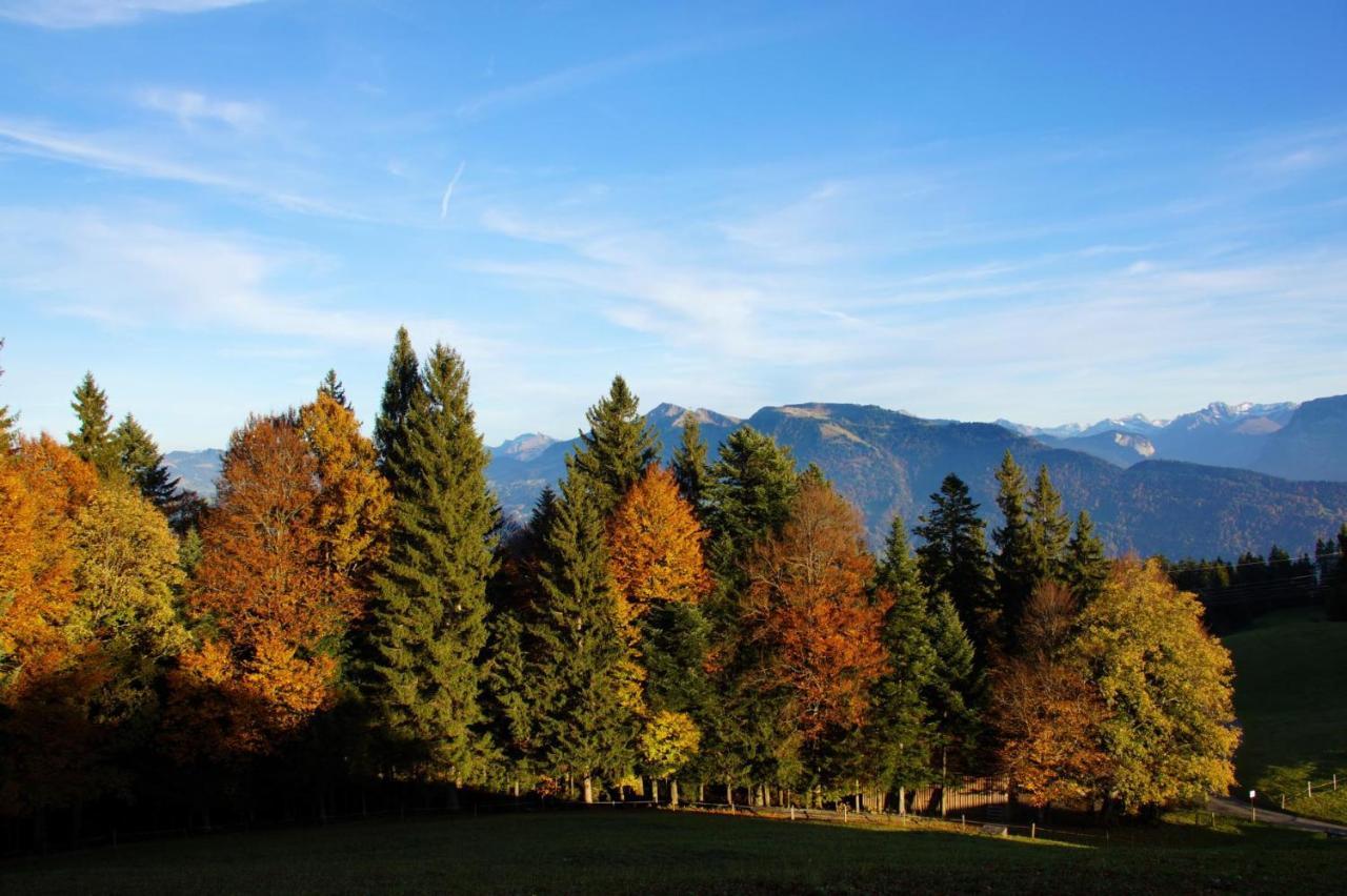 Alpengasthof Brueggele Otel Alberschwende Dış mekan fotoğraf